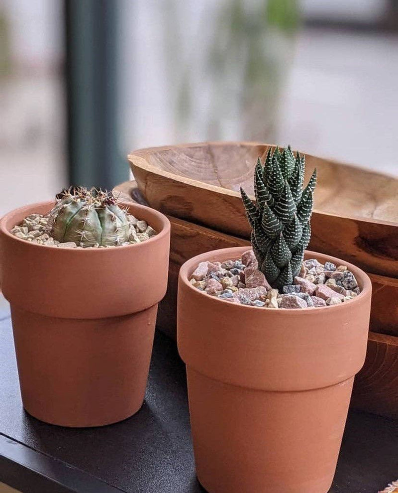 Topper | Saharan Gold. 1Qt