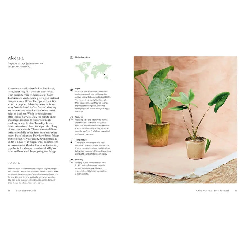 The Green Indoors Plant Book