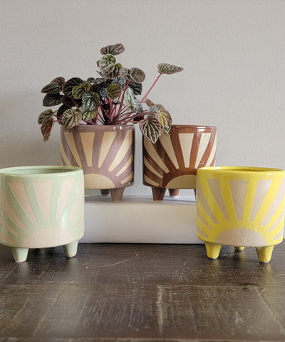 Decorative Planter | No Drainage – Forget Me Not- Plants&Decor