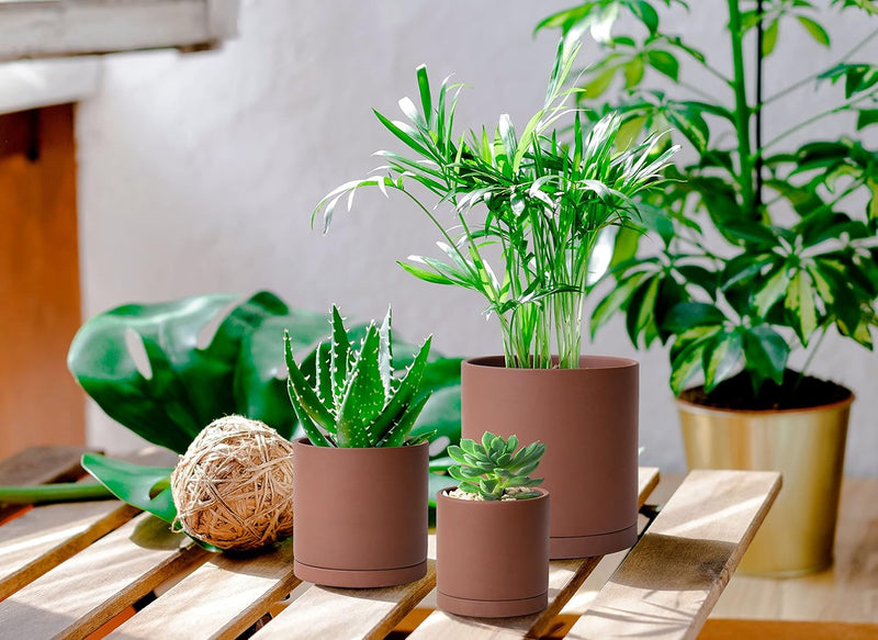 Terracota Pot | Rust