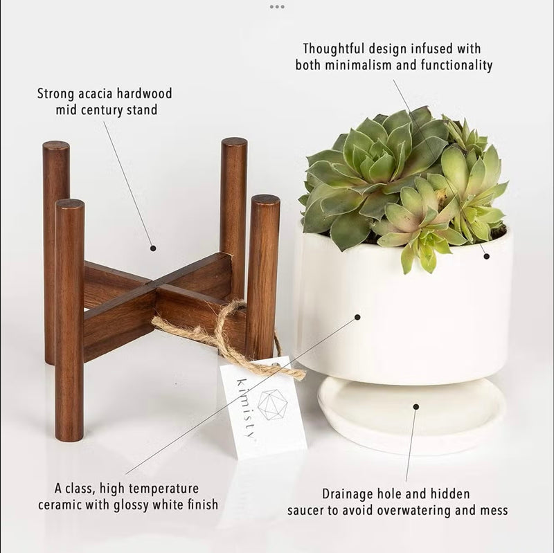 5 Inch Pot with Wood Stand and Saucer, Succulent Planter