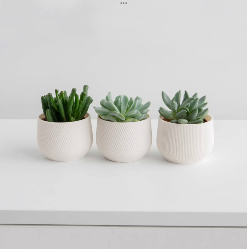 Mini Planter - 100% recycled