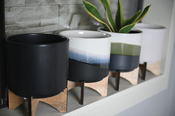 Planter: Cylinder with Wood Stand