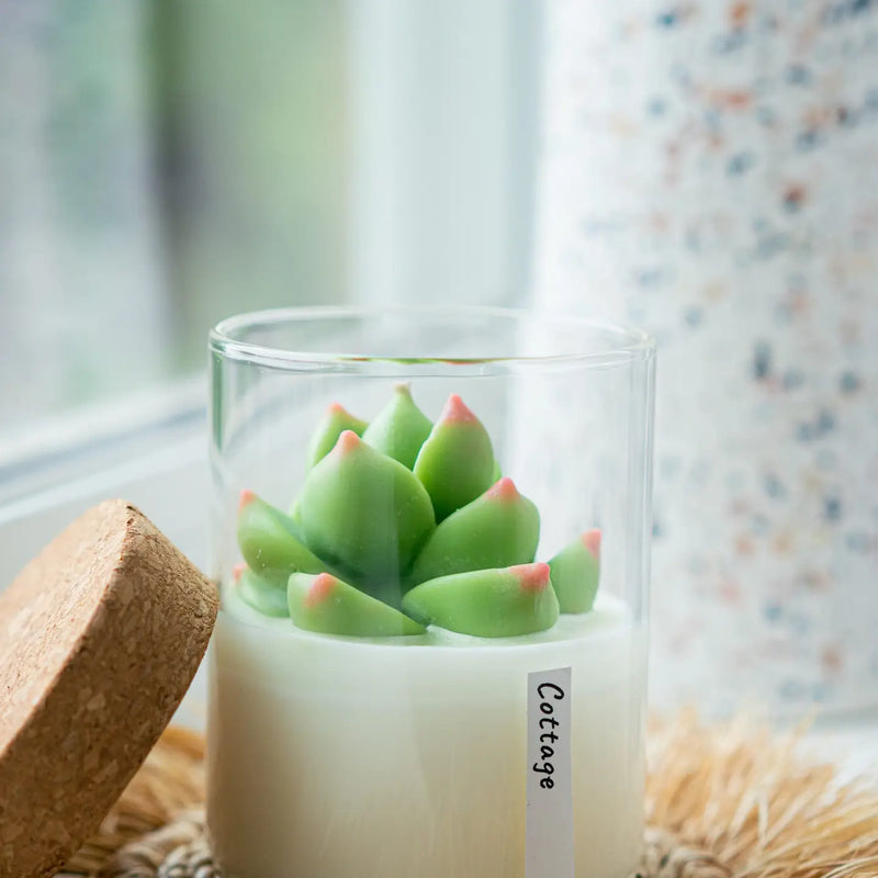 Terrarium Candle | Soy blend