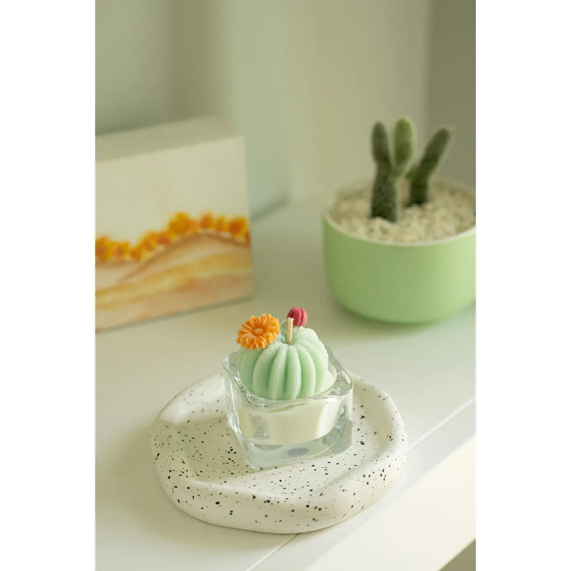 Cactus & Succulent Tealight Candles