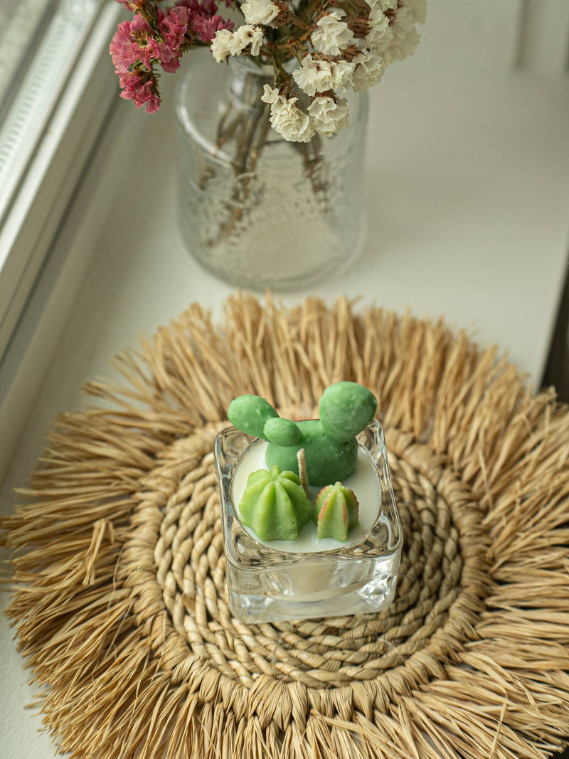 Cactus & Succulent Tealight Candles