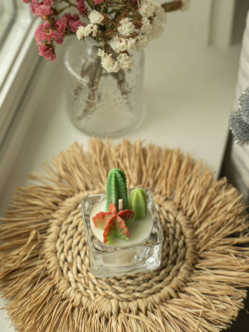 Cactus & Succulent Tealight Candles