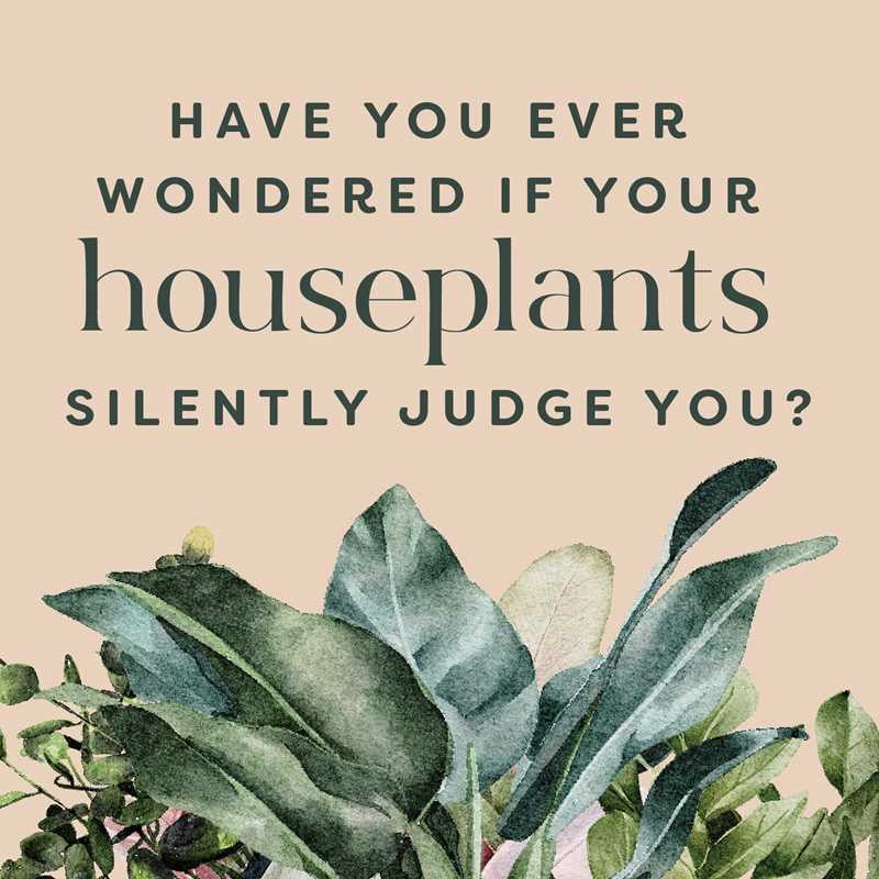 Houseplants And Their F’d Up Thoughts | Plant Book