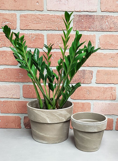 Classic Planter - Dark Marble