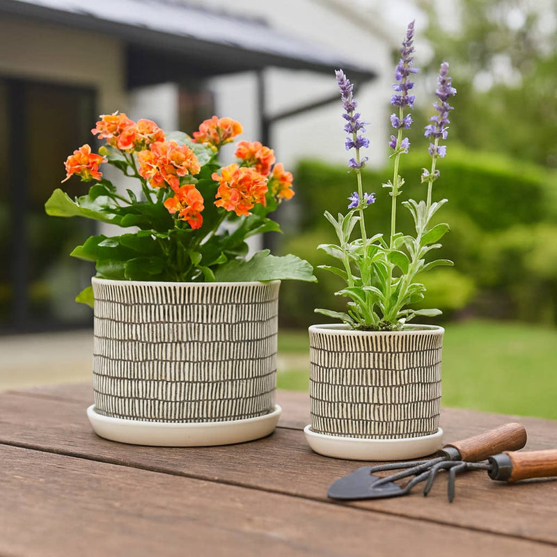 Ceramic Line Saucer Planter Pot| 6in - 7.5in
