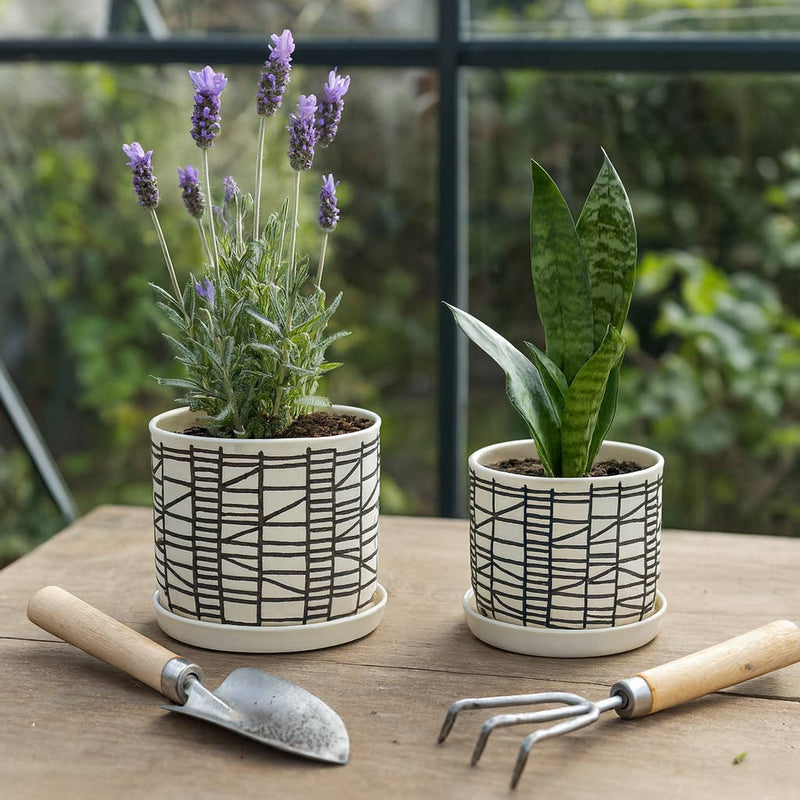 Ceramic Geometric Saucer Planters | 6in - 8in