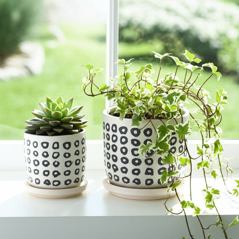 Ceramic Aztec Saucer Planters | 5in - 6in.