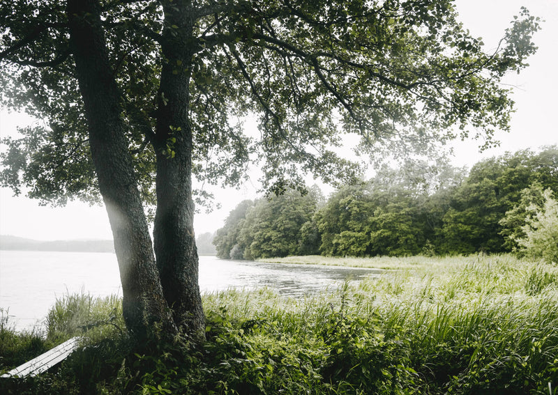 Vegalicious Cheesecakes – Bakery-Style & Plant-Based