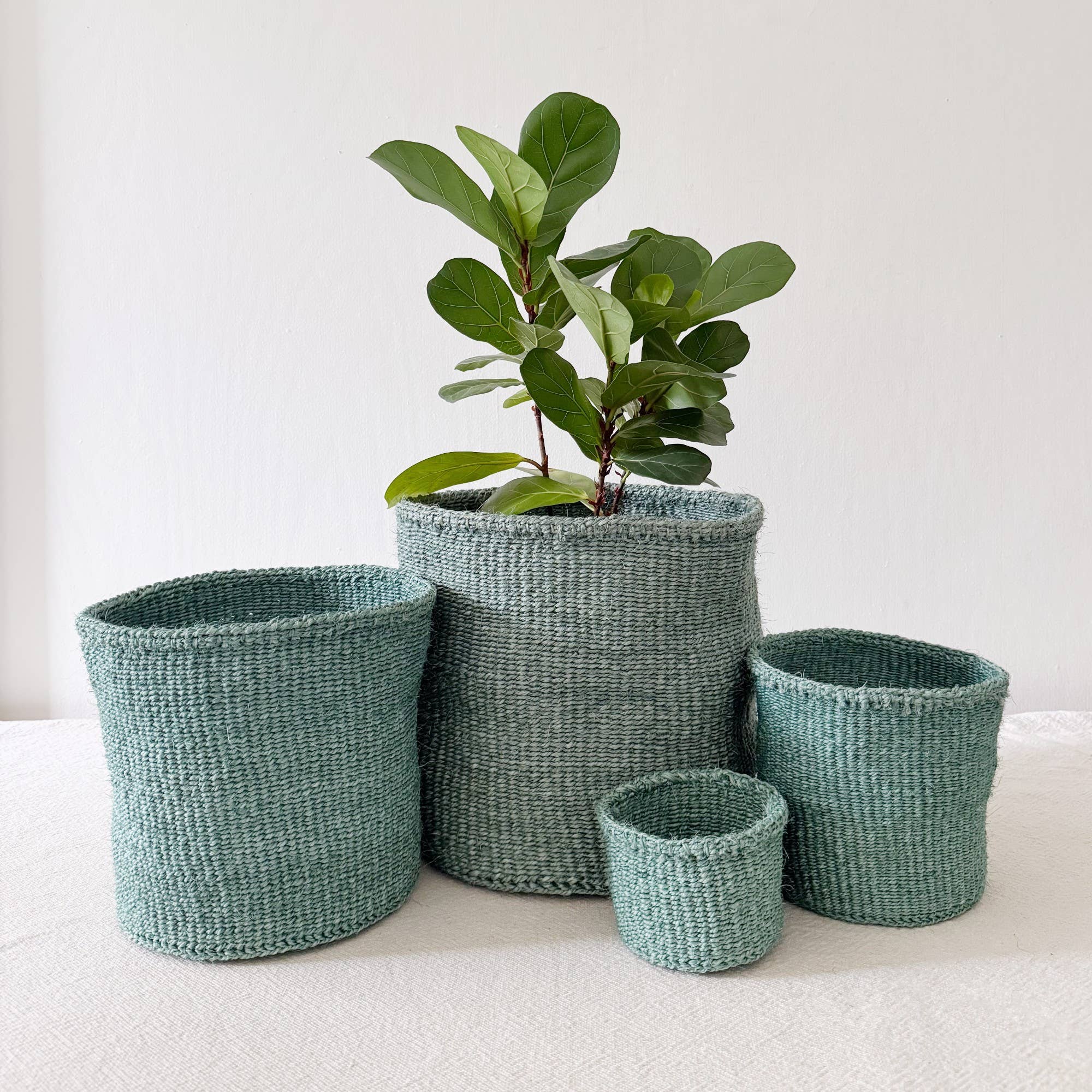 Eucalyptus | Storage Plant Basket - 10in – Forget Me Not- Plants&Decor