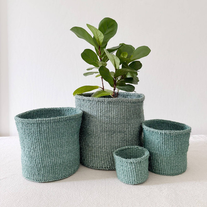 Eucalyptus  | Storage Plant Basket - 10in