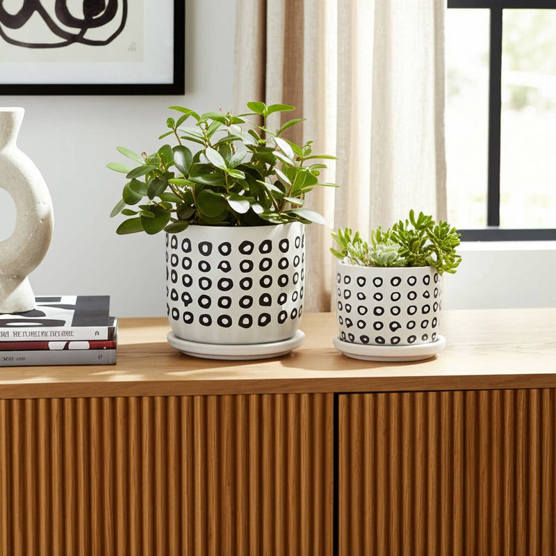 Ceramic Aztec Saucer Planters | 5in - 6in.