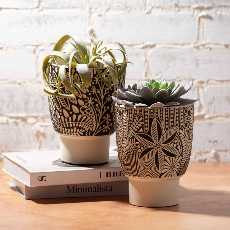 Planter |Hold 5” Plant