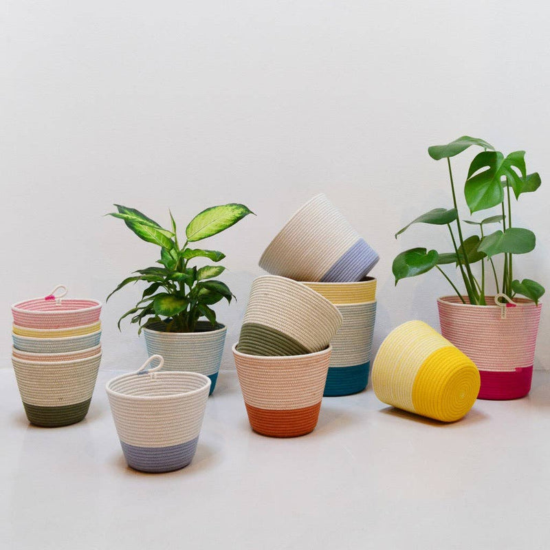 Planter | Olive . Holds 6in Plant