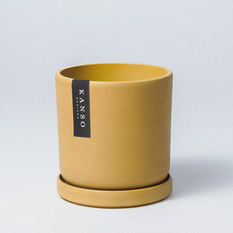 Mustard Seed & Dusted Clay  | Holds 4” & 7”