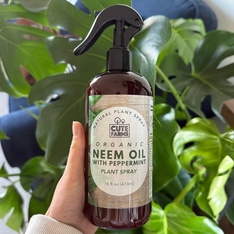 Plant Care | Organic Neem Oil with Peppermint