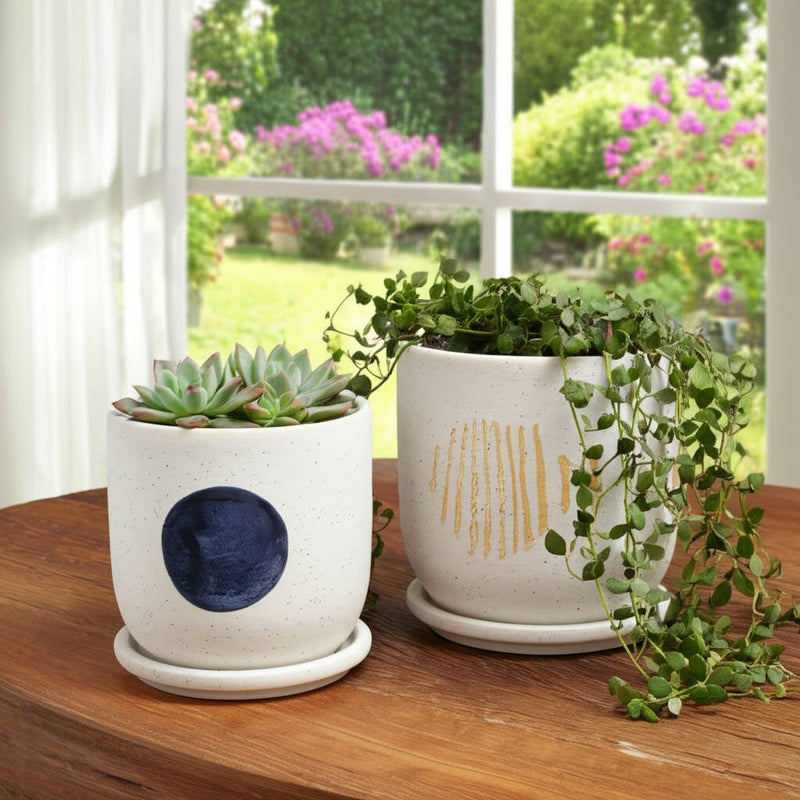 Ceramic Funky Saucer Planter | 5in - 6in