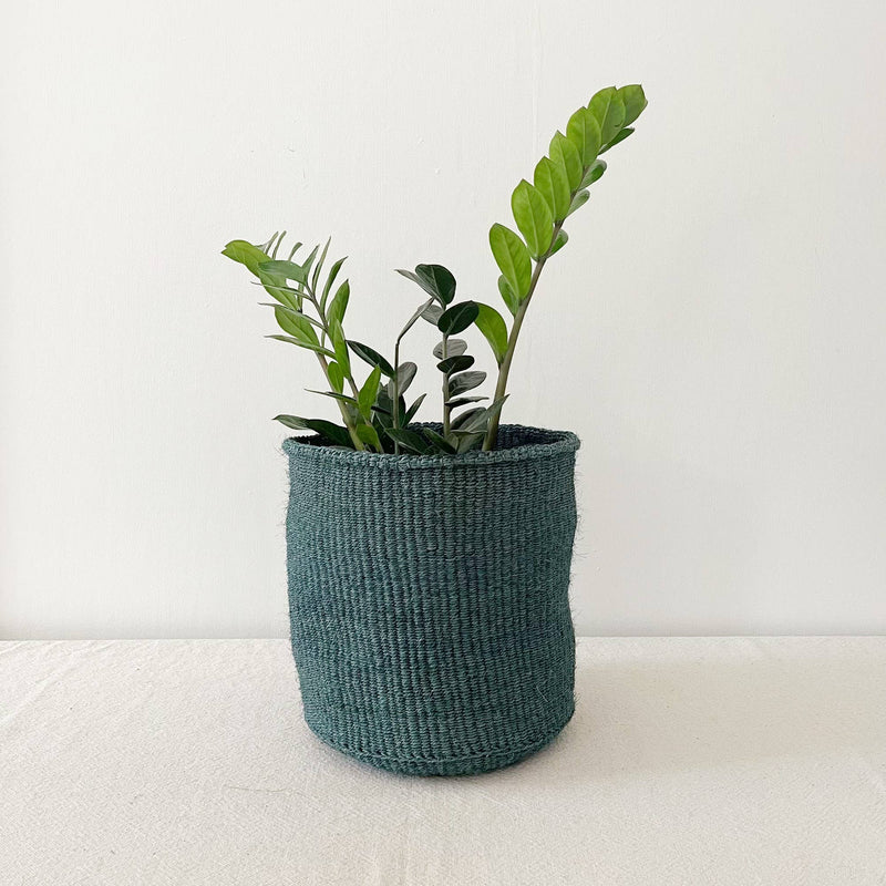 Storage Plant Basket: Sea Glass