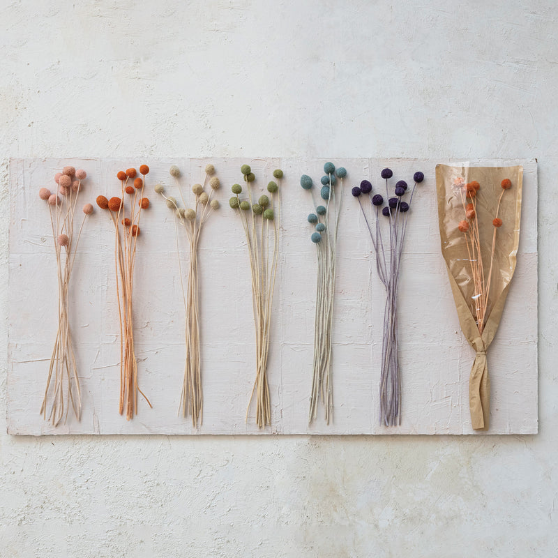 6 Color -20"H Dried Natural Craspedia Bunch