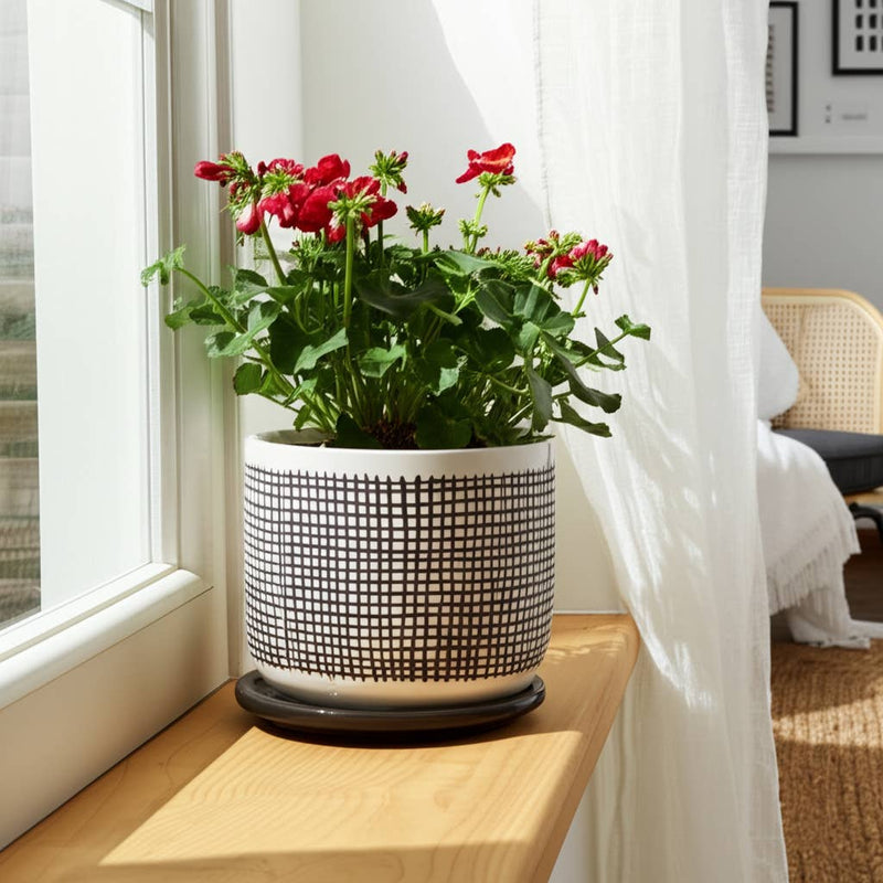 Ceramic Mesh Design Planter Pot with Saucer | 6 in.