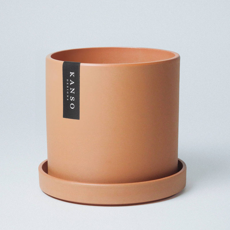 Mustard Seed & Dusted Clay  | Holds 4” & 7”