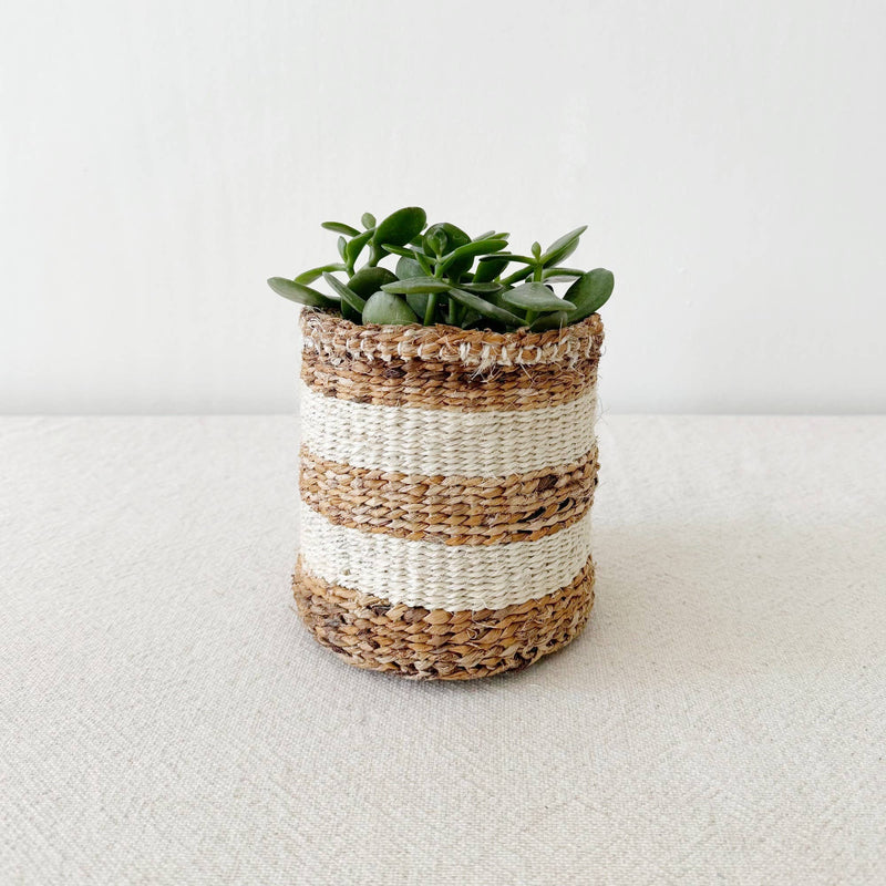 Banana Strip | Handmade Storage Plant Basket