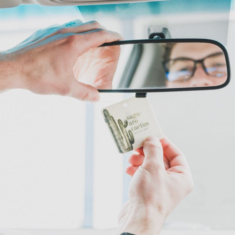 Car Freshener | 2 Fragances