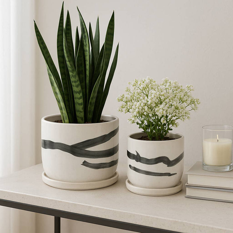 Ceramic Streak Saucer Planters | 5in - 6in