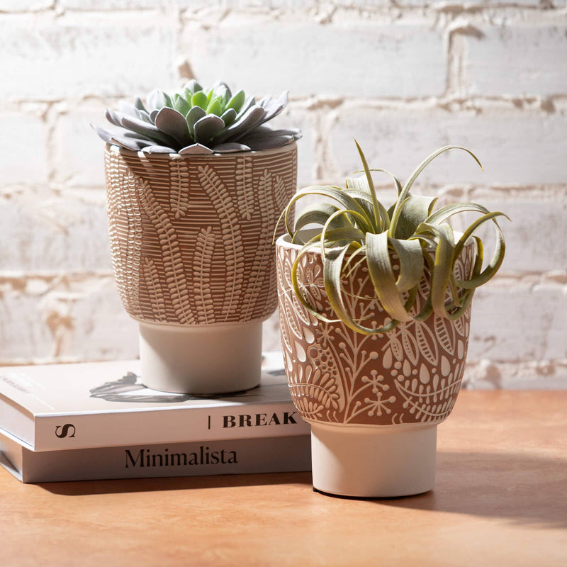 Planter |Hold 5” Plant