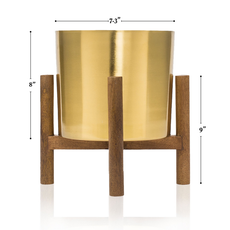 Planter | Holds 6” Plant