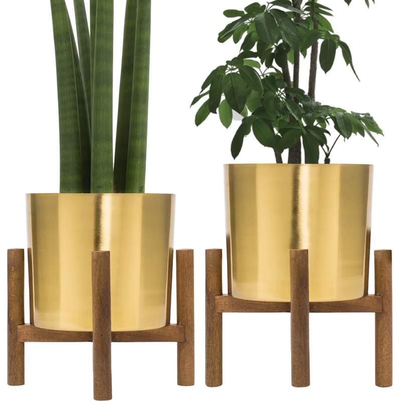 Planter | Holds 6” Plant