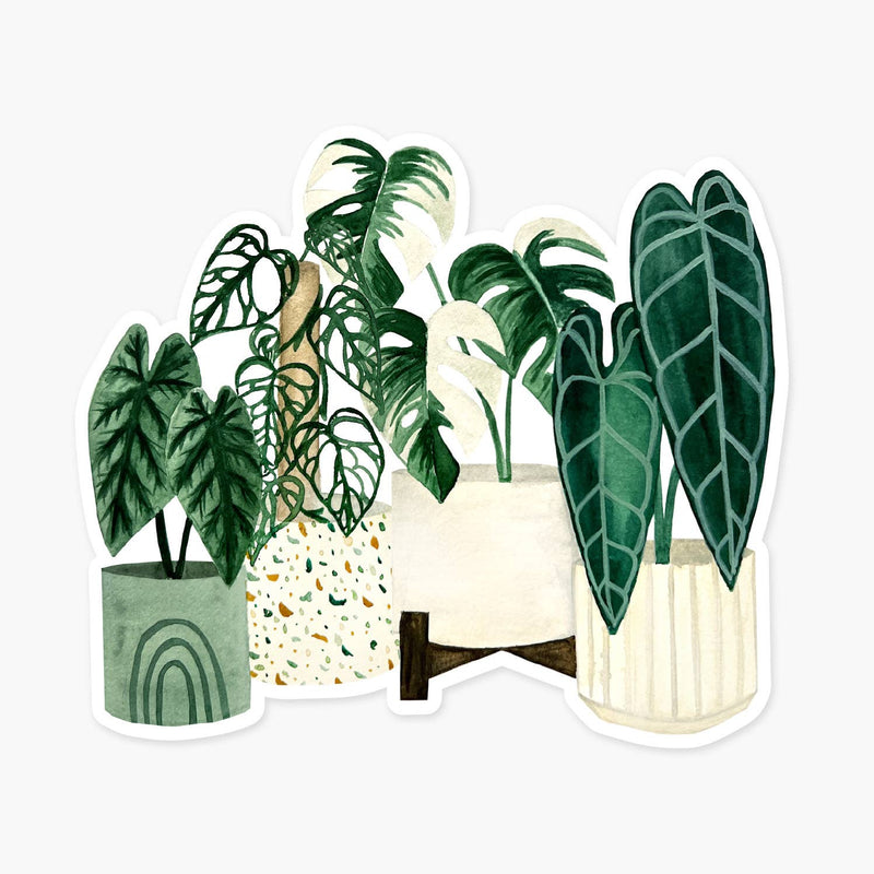 3 Styles of Plants Clear Sticker