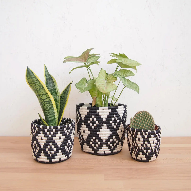 Ndora Basket Planters