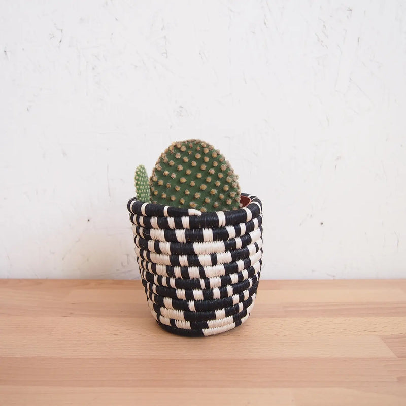 Ndora Basket Planters