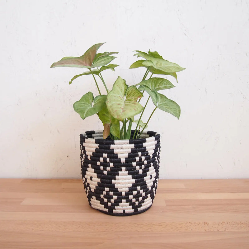 Ndora Basket Planters