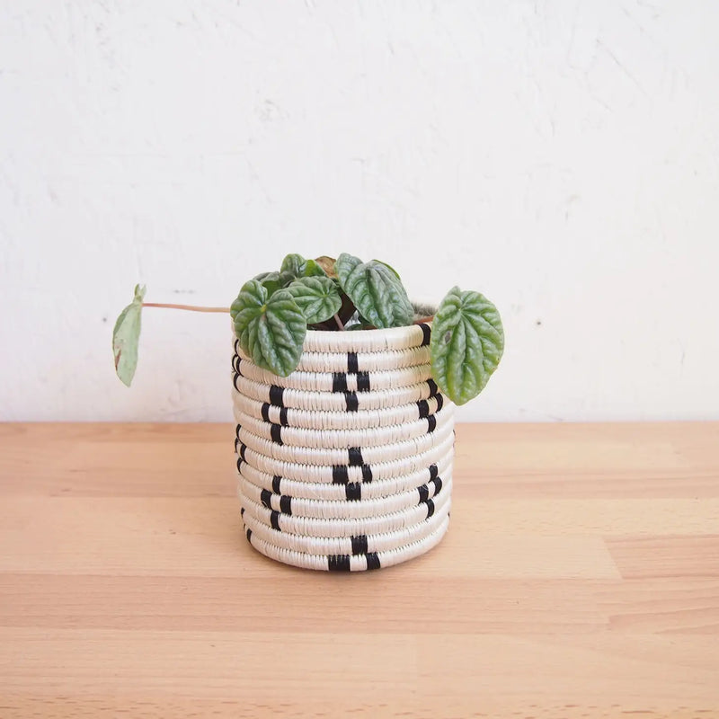 Maraba Basket Planters