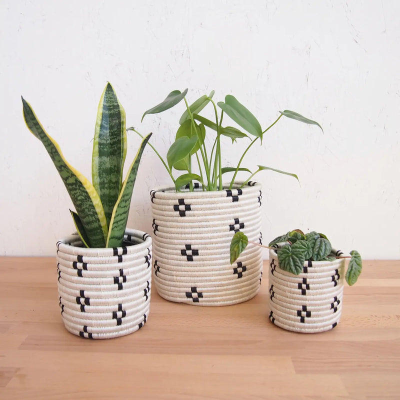 Maraba Basket Planters