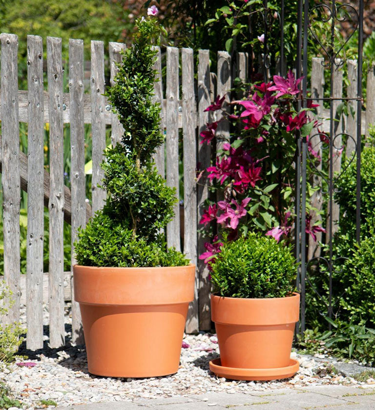 Classic Planter  - Terracota