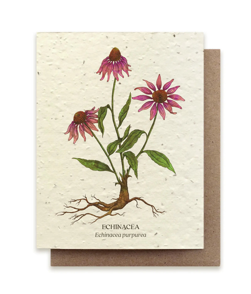 Plantable Wildflower Seed Card