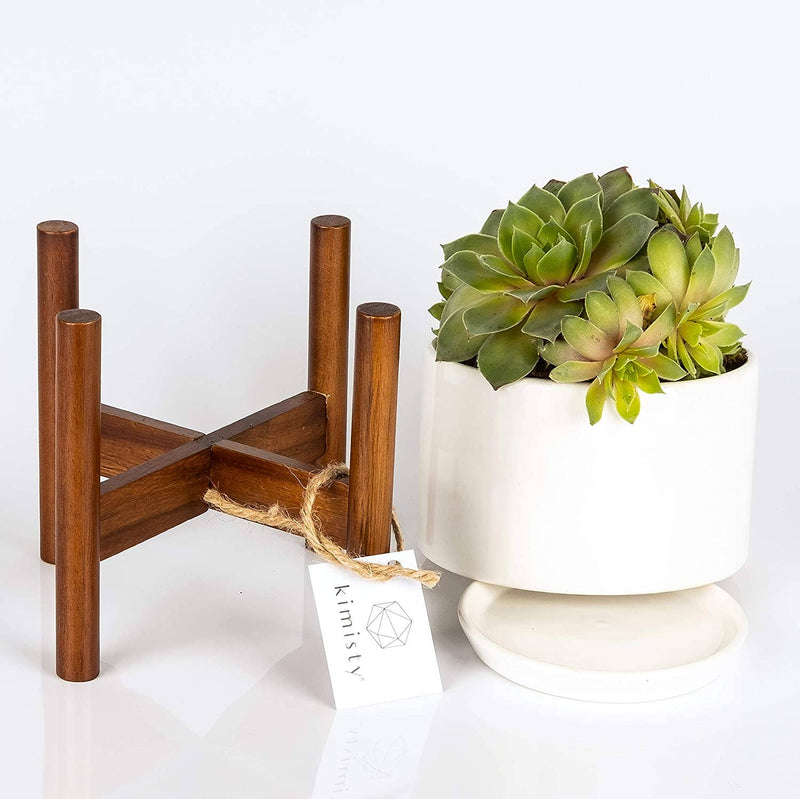 5 Inch Pot with Wood Stand and Saucer, Succulent Planter