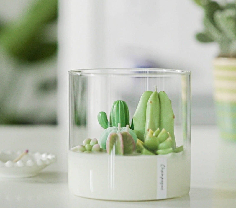 Terrarium Candle | Soy blend