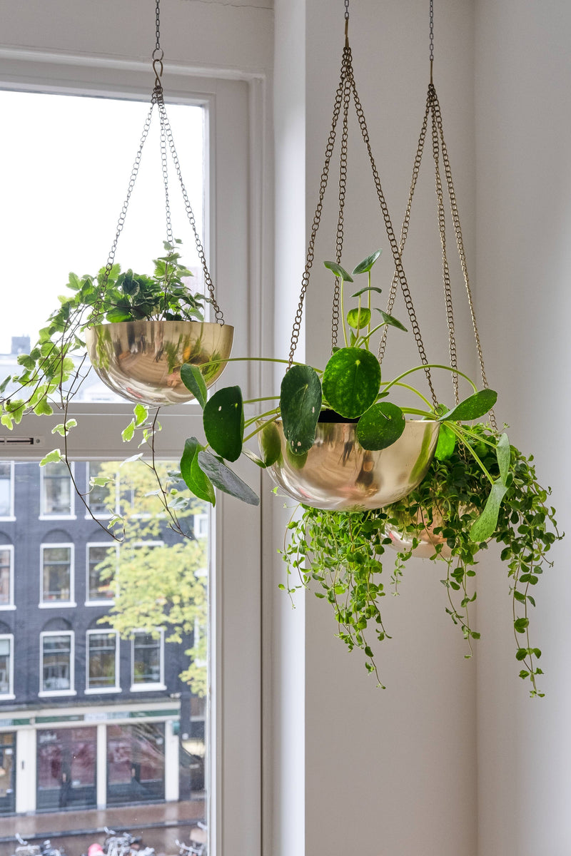 Hanging Planter for Outdoor & Indoor Plants