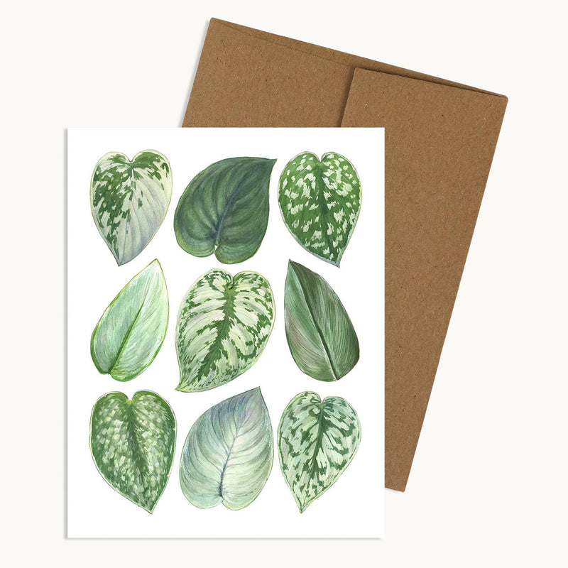 5 Varieties Greeting Cards - Watercolor Style.