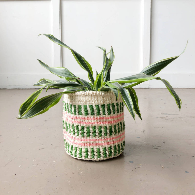 Storage Plant Basket: Watermelon