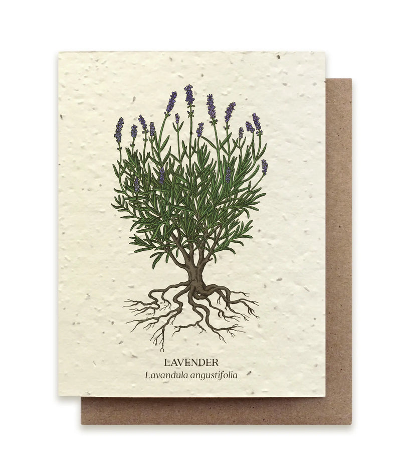 Plantable Wildflower Seed Card