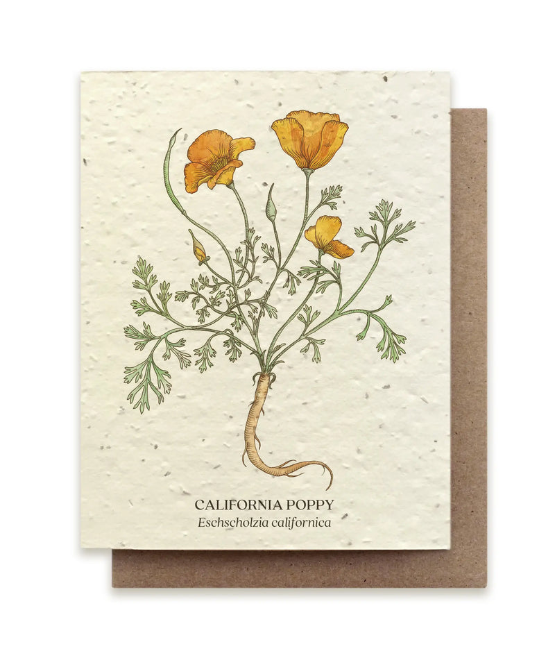 Plantable Wildflower Seed Card